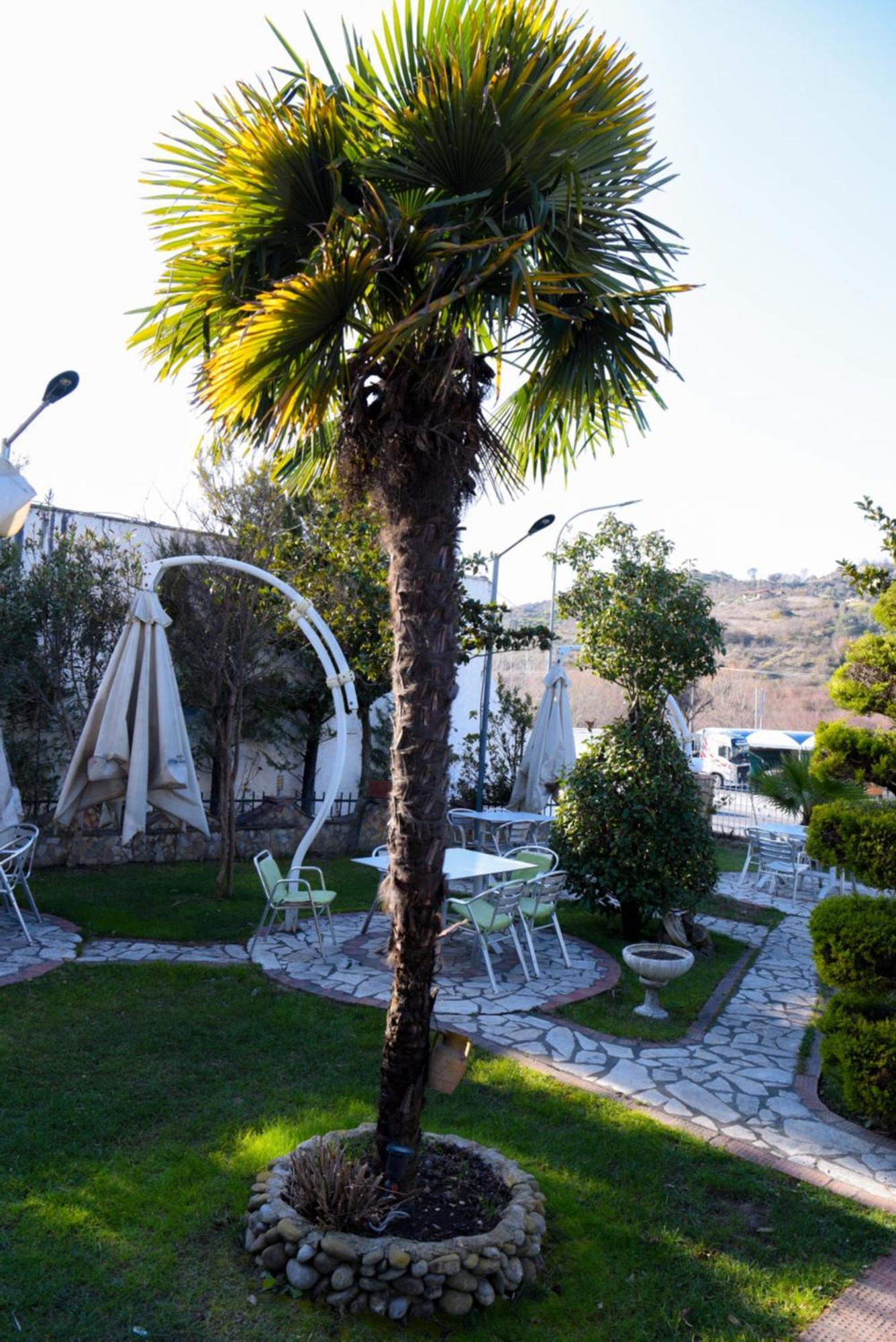 Hotel Restorant Halal Il Tramonto. Vorë المظهر الخارجي الصورة