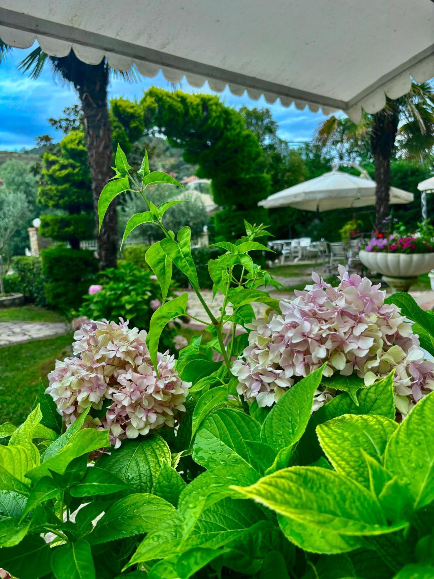 Hotel Restorant Halal Il Tramonto. Vorë المظهر الخارجي الصورة